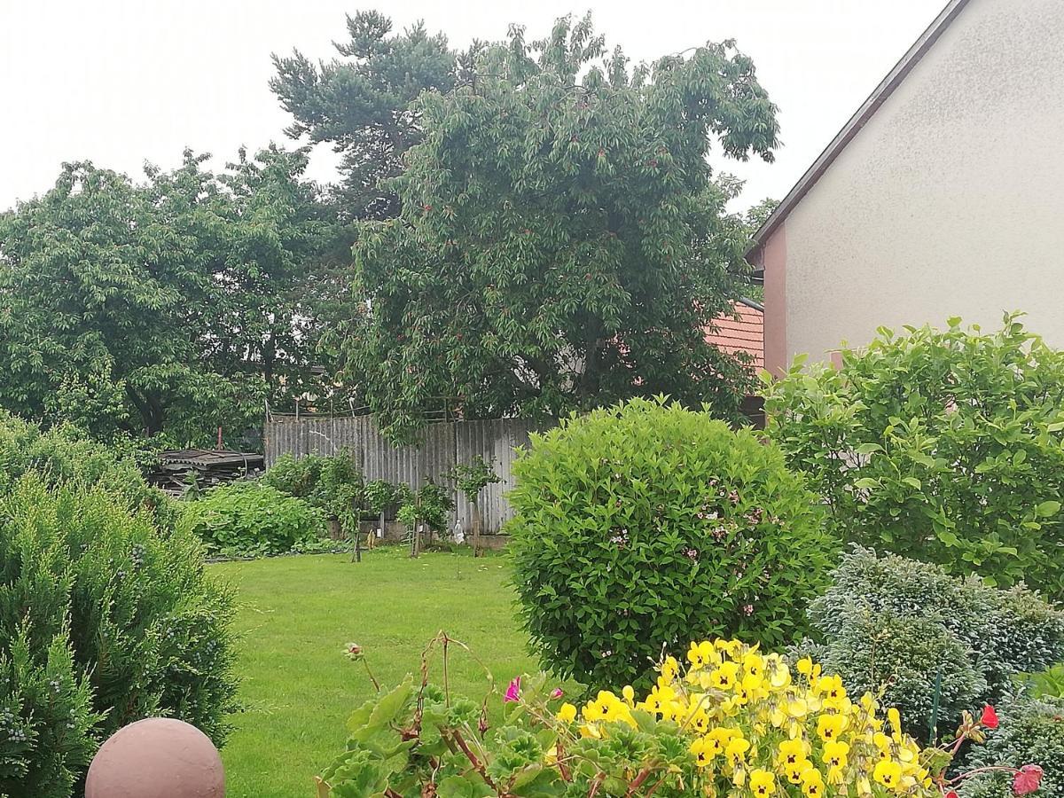 Apartmán Za kostelem Zvole  Exterior foto